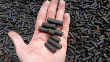 a hand showing little dark pellets of biochar