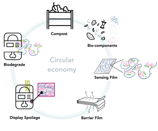 a schematic depiction of how the technology contributes to an improved circular economy