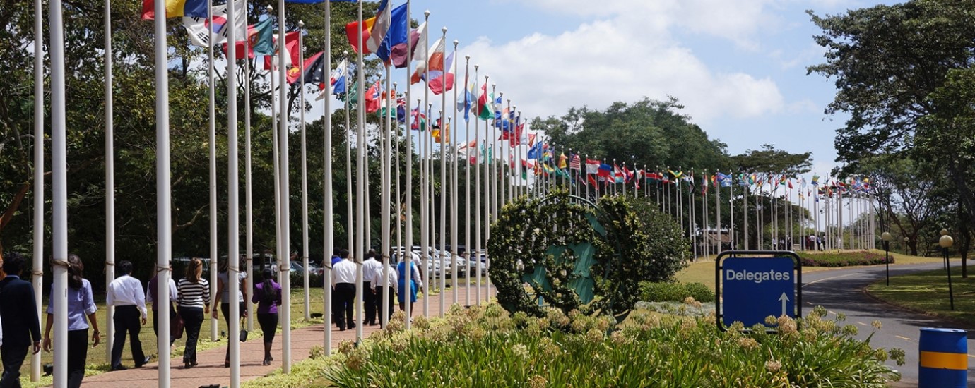 An outdoor view of the Nairoba UNEP headquarter with delegates walking through a path paved with flag poles