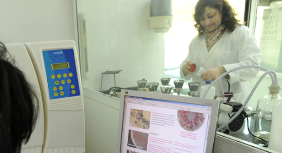 Woman standing behind a glass in a labratory looking at a container smiling.