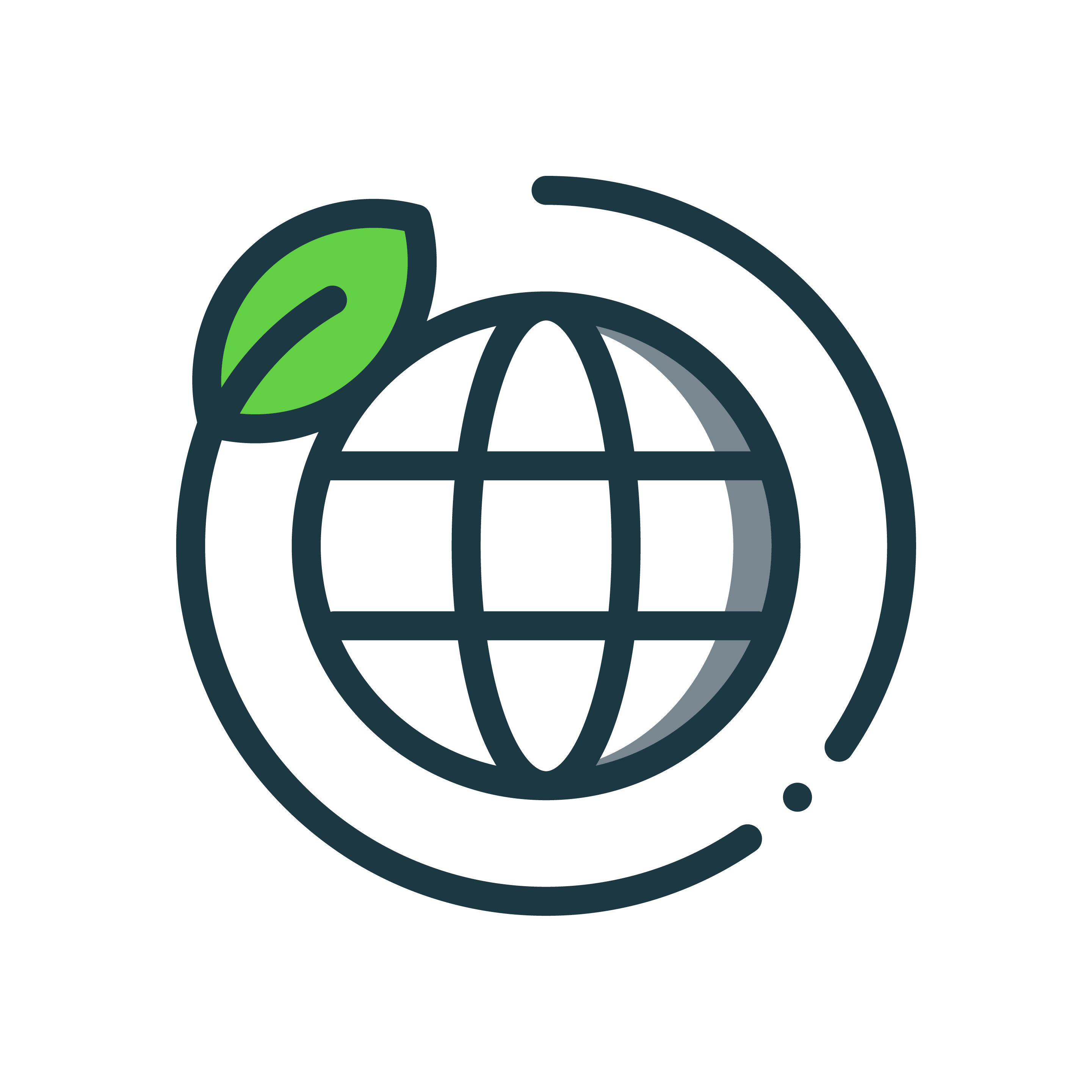 an icon showing a leaf symbollically orbiting a stylised globe