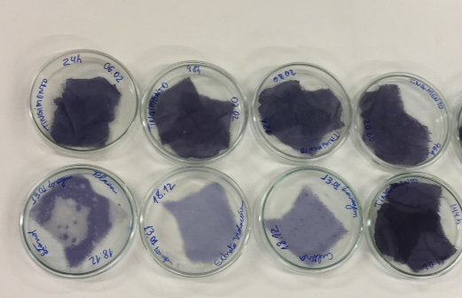 samples of textile with a dye application in petri dishes