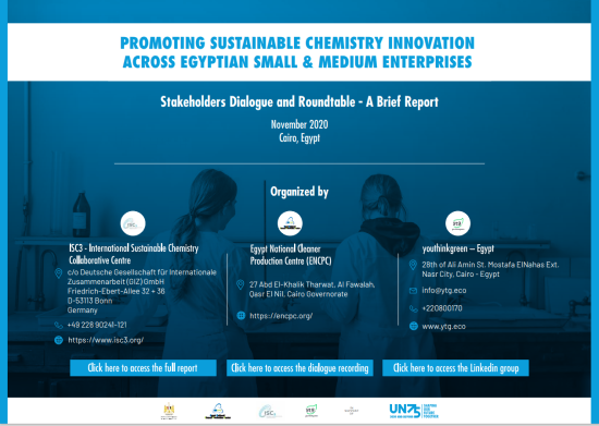 Promoting Sustainable Chemistry Innovation across Egyptian Small & Medium Enterprises