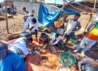 Group of diverse young people from Ethiopia cleaning the fish waste from production industry outside.