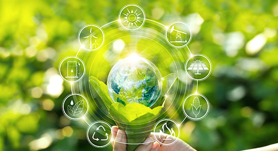 Hand holding light bulb against nature on green leaf with icons energy sources for renewable, sustainable development.