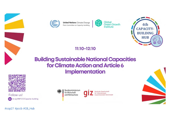 Poster of an Event on "Building Sustainable National Capacities for Climate Action and Article 6 Implementation.
