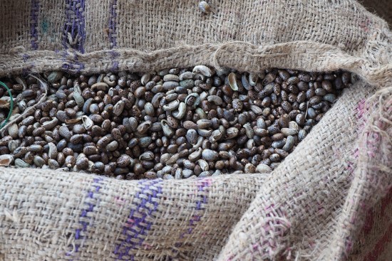 a fabric bag filled with seeds