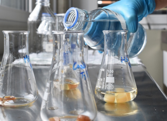 three erlenmeyer flasks filled with translucent liquid and brownish other substance in it