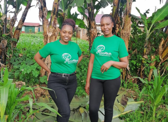  Two african women dressed in Ecorich´s company shirts surrounded by palms and greenery, smiling into camera 