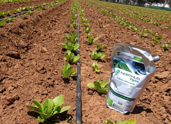 silver-coloured spouted pouch of Nerthus standing on agricultural soil next to a row of green sprouts