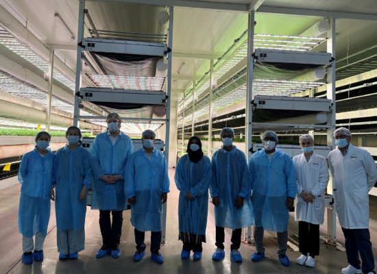 nine people in blue protective overalls, hairnets, facemasks and shoecovers in a warehouse with high selves containing plants